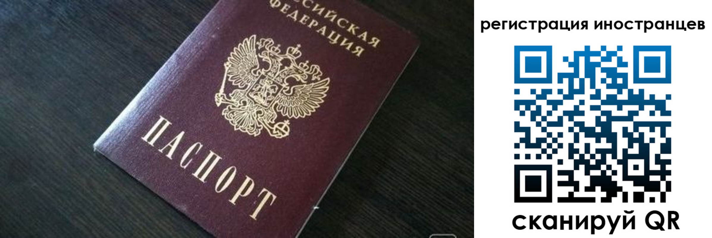 прописка штамп в Красноармейске